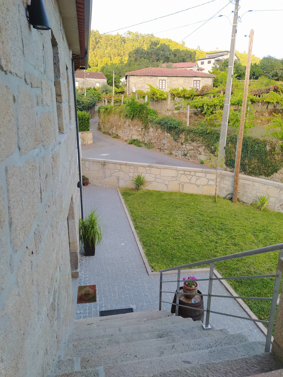 Jardim